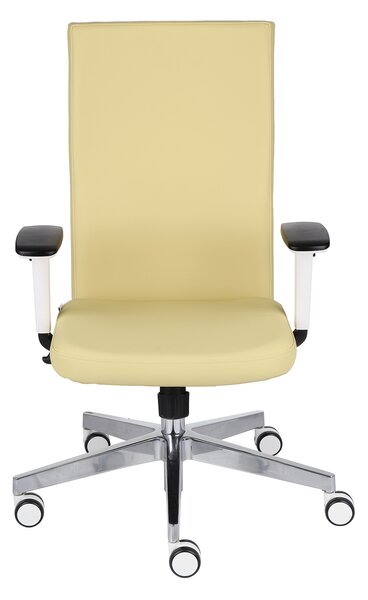 Scaun de birou Team Plus W Chrome