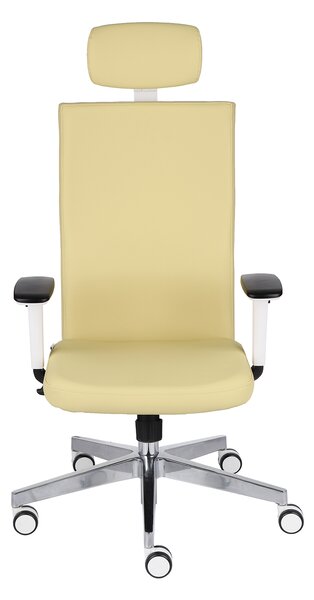 Scaun de birou Team Plus HD W Chrome