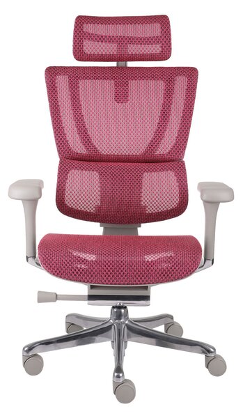 Scaun de birou Ioo 2 GS Pink