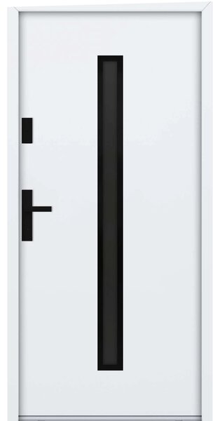 Usa Metalica din otel de intrare in casa Turenwerke ATU68 - Blackline