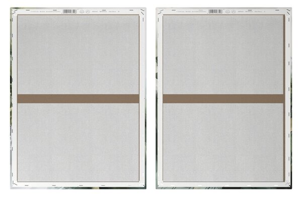 Set de tablouri cu detalii pictate manual 2 buc. 50x70 cm Myrtle – Styler