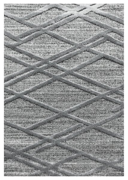 Covor Pisa Gri V5 60x110 cm