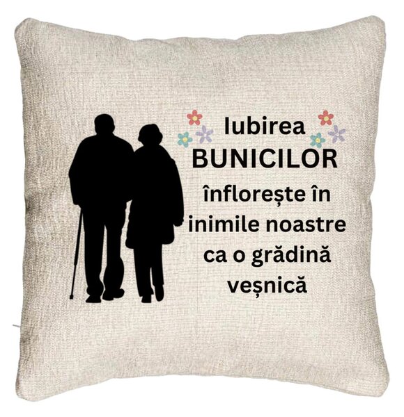 Perna Decorativa Canapea pentru Bunici 1, 40x40 cm, Cu fermoar
