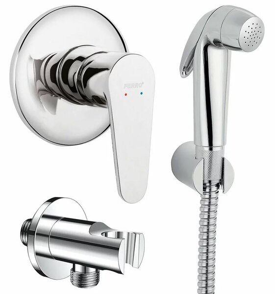 Set de dus igienic, Ferro, Algeo, cu baterie ingropata, crom