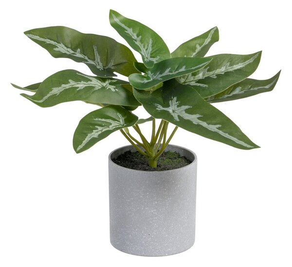 Plantă artificială (înălțime 21 cm) Syngonium – Ixia