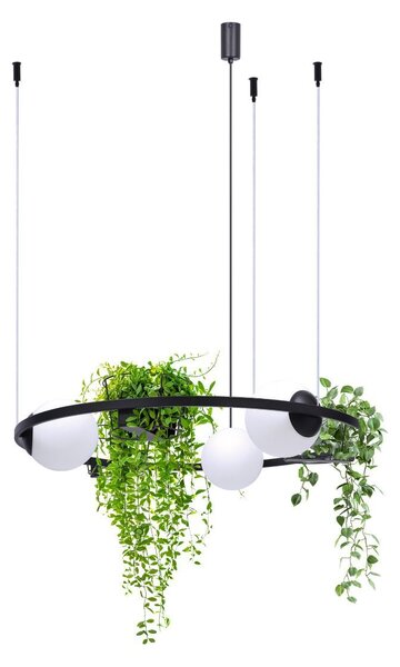 Zuma Line Plant lampă suspendată 3x40 W negru 5005