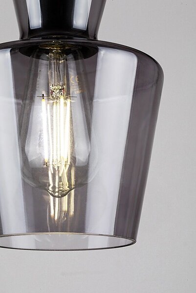 Rabalux Abra lampă suspendată 1x60 W negru-fumuriu 72161