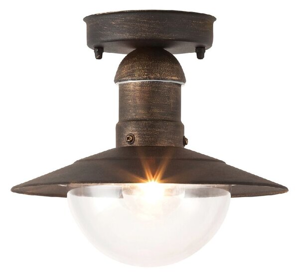Rabalux Oslo plafoniera de exterior 1x60 W auriu 8736