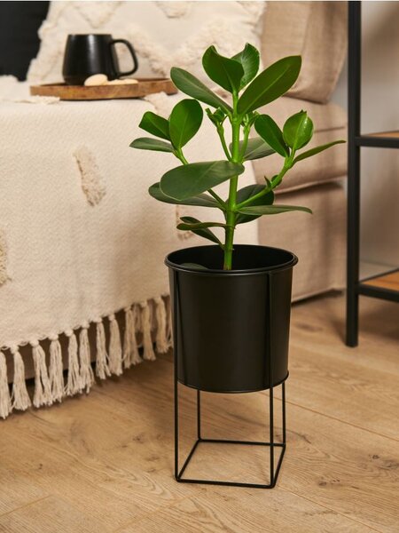 Sinsay - Ghiveci decorativ - negru