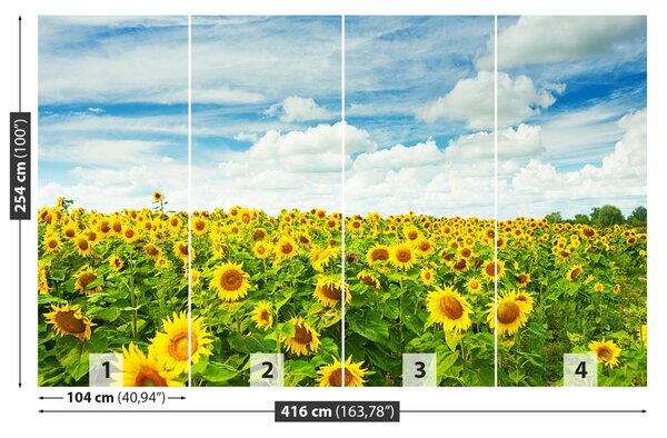 Fototapet Domeniu de Sunflowers