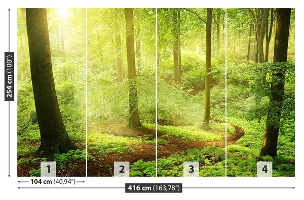 Fototapet Misty Forest