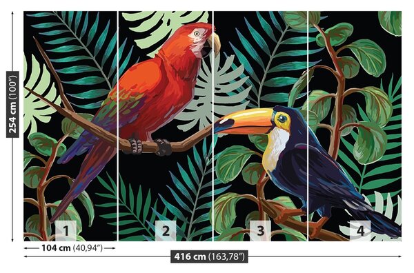 Fototapet Ara Toucan