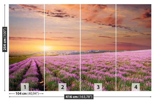 Fototapet Lavandă Domeniul