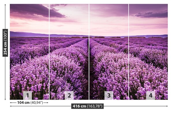 Fototapet Blooming Lavandă