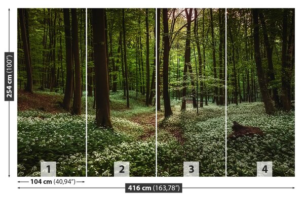 Fototapet Spring Forest