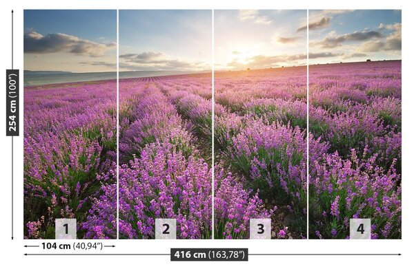 Fototapet Lavandă Meadow