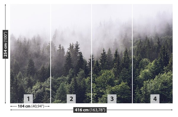 Fototapet Mountain Forest