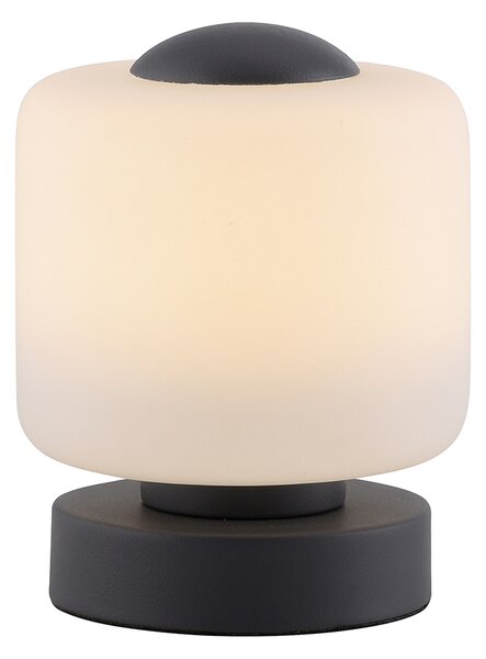 Lampa de masa gri inchis cu LED in 3 trepte reglabila cu atingere - Mirko