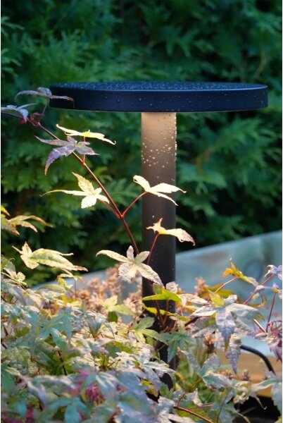 Markslöjd 108173 - Lampă LED de exterior GARDEN24 LED/5W/24V 96 cm IP44 neagră