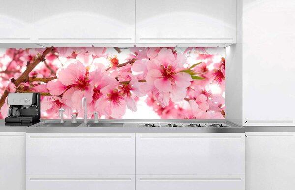 Fototapet pentru bucătărie - flori de măr 180 x 60 cm