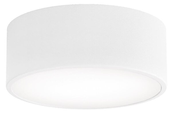 Plafonieră pentru baie CLEO 1xE27/24W/230V d. 20 cm alb IP54