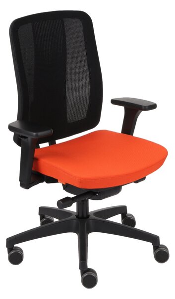 Scaun de birou pentru copii ErgoJunior BS Black