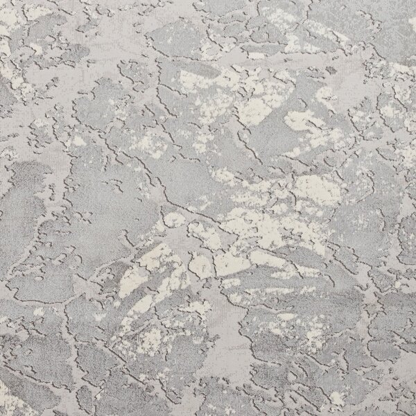 Covor gri/bej 170x120 cm Apollo - Think Rugs