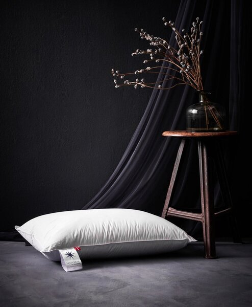 Pernă cu umplutură de pene 50x70 cm Neptune High – Universe of Sleeping