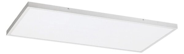 Panou LED aplicat Rabalux 71079 DAMEK LED/80W/230V 4000K 120x60 cm