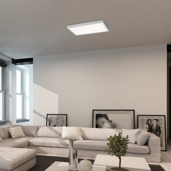 Panou LED aplicat Rabalux 71079 DAMEK LED/80W/230V 4000K 120x60 cm