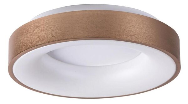 Rabalux 5052 - Plafonieră LED CARMELA LED/30W/230V