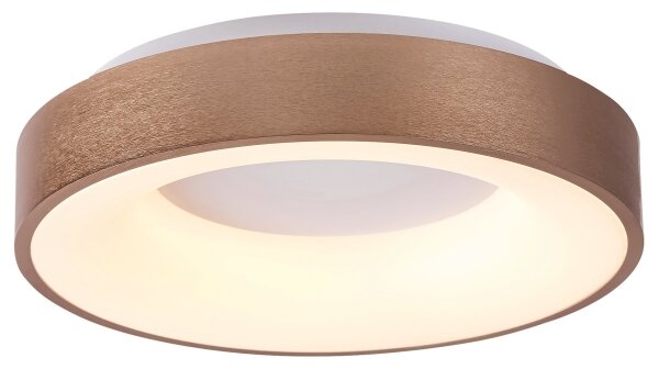 Rabalux 5052 - Plafonieră LED CARMELA LED/30W/230V