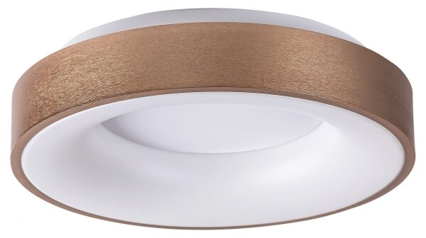 Rabalux 5052 - Plafonieră LED CARMELA LED/30W/230V