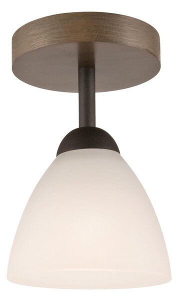 Lustră aplicată ADRIANO 1xE27/60W/230V