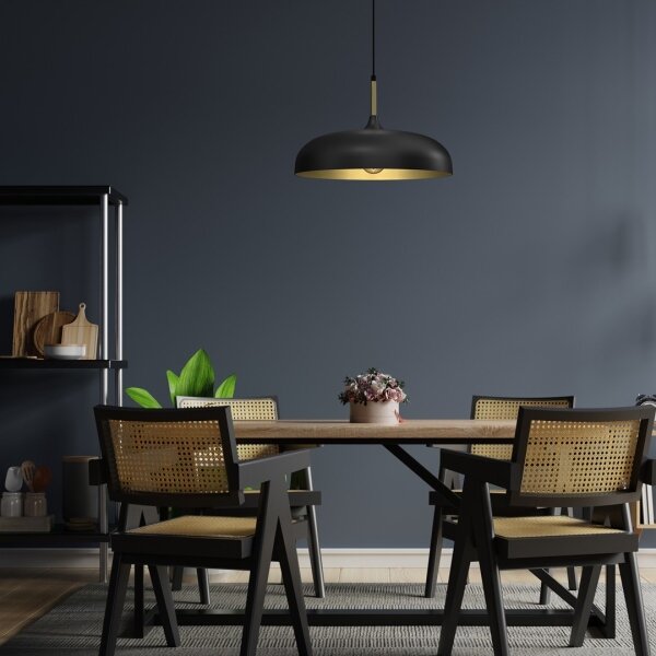Lustră pe cablu Brilagi ABRAHAM 1xE27/60W/230V d. 45 cm negru