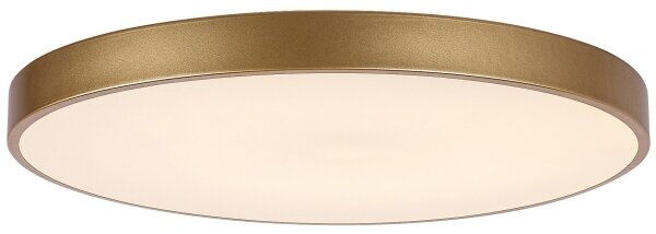 Rabalux 71038 -LED Plafonieră LED dimabilă TESIA LED/60W/230V 3000-6000K+telecomandă