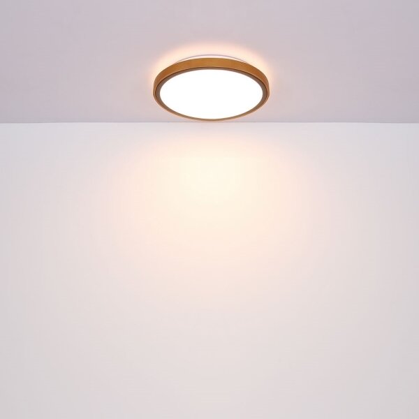 Globo 41764-12 - Plafonieră LED BRUNO 12W 230V 307 mm 3000/4500/6000K