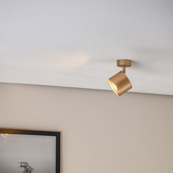 Argon Spot de tavan Chloe reglabil cu 1 bec, auriu,, Auriu / Alamă, Camera de zi / sufragerie, Metal, Modern