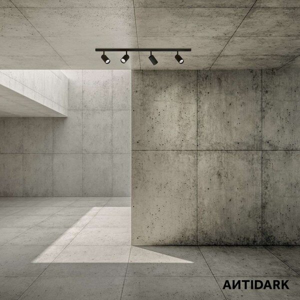 Plafoniere ANTIDARK, Negru, Camera de zi, Metal