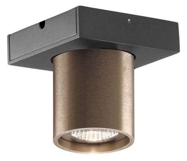 Plafoniere LIGHT-POINT, reglabil, Bronz / Alamă Veche, Camera de zi, Aluminiu