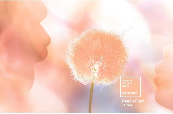 Cană din ceramică roz-portocaliu 175 ml Cortado Peach Fuzz 13-1023 – Pantone