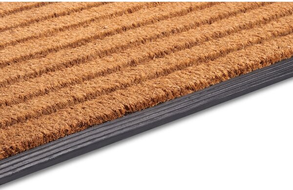 Covoraș de intrare din fibre de nucă de cocos 45x75 cm Striped – Hanse Home
