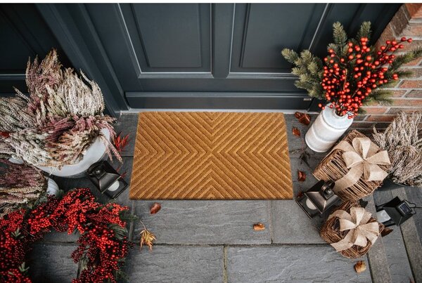 Covoraș de intrare din fibre de nucă de cocos 45x75 cm Geometric – Hanse Home