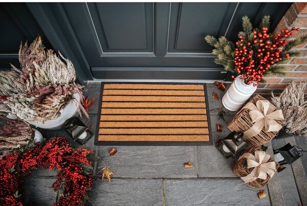 Covoraș de intrare din fibre de nucă de cocos 45x75 cm Striped – Hanse Home