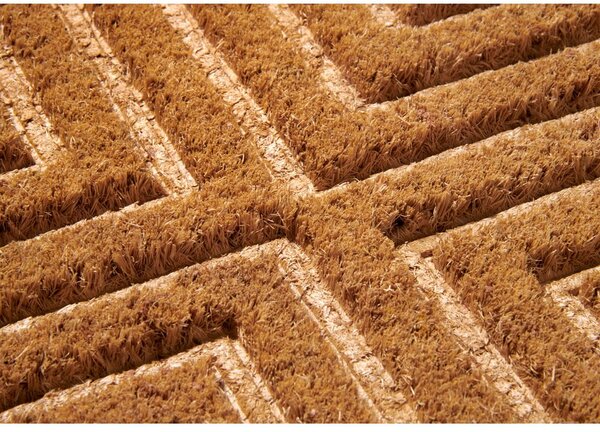 Covoraș de intrare din fibre de nucă de cocos 45x75 cm Geometric – Hanse Home