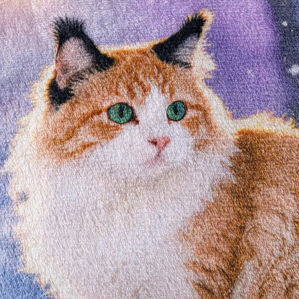 Set de 2 fețe pernuțe din micropluș SNOW CAT 45 x 45 cm