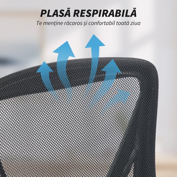 HOMCOM Scaun de Birou din Plasă cu Brațe Rabatabile, Suport Lombar, 59,5 x 56 x 103 cm, Negru | Aosom Romania