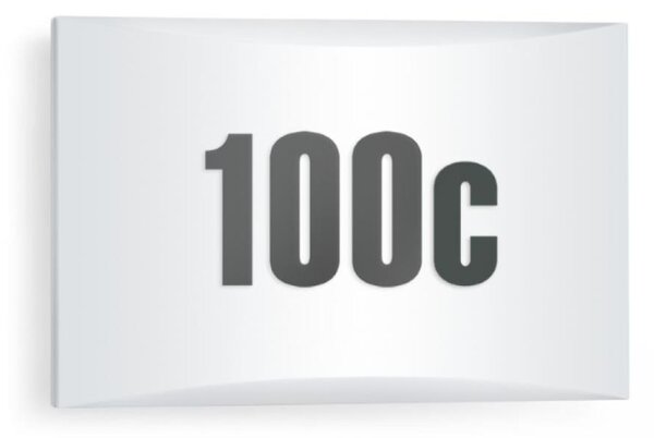 STEINEL 649715 - Lampă LED exterioră cu întrerupător LN1LED 4,5W 230V IP54