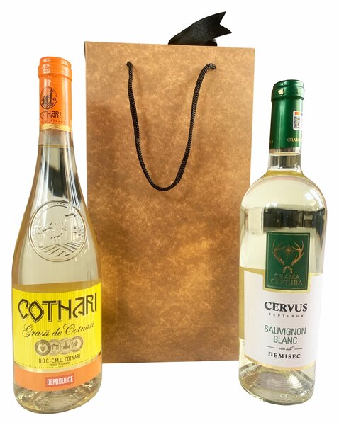 SET 10 Boxbag pungi cadou kraft natur pentru 2 sticle vin (35x18x9 cm)