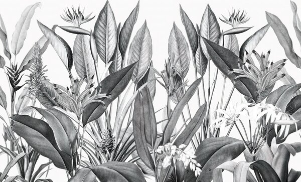 Fototapet Frunziș tropical în nuanțe monocrome, Fototapet frunze, Fototapet populare, u96833 - Tapeko.ro